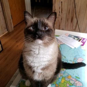 Meet your Posher, William